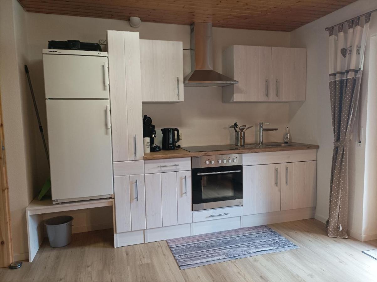 Ferienwohnung Wiesenblick オーバーハルマースバッハ エクステリア 写真